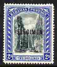Bahamas 1901-03 Staircase 2s Crown CC overprinted SPECIMEN fresh with gum SG 60s (only about 750 produced), stamps on specimen