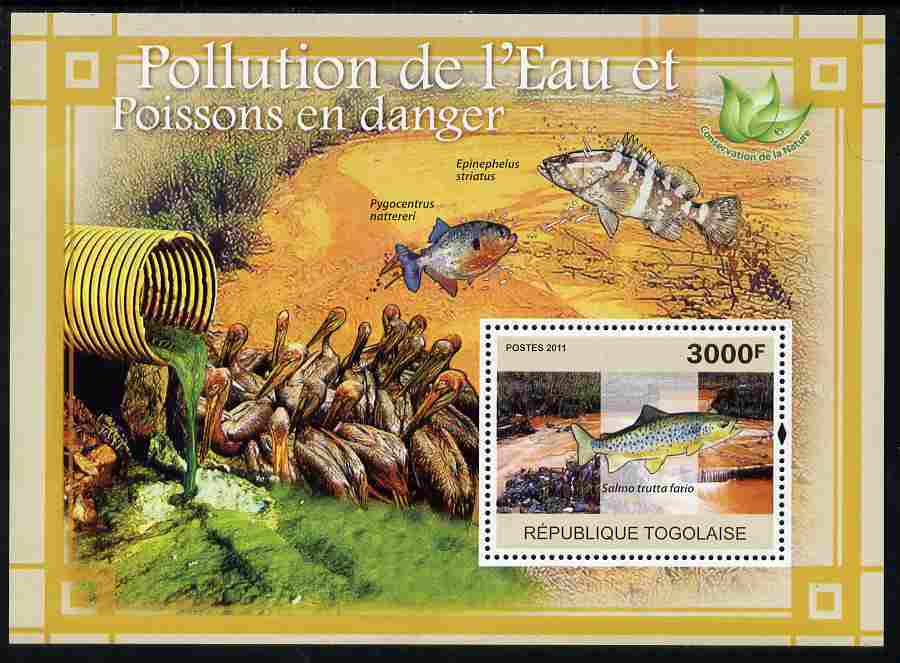Togo 2011 Water Pollution & Endangered Fishes perf s/sheet unmounted mint, stamps on environment, stamps on animals, stamps on  wwf , stamps on fish, stamps on 