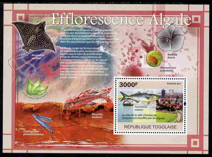 Togo 2011 Environment - Algal Blooms - Fish perf s/sheet unmounted mint, stamps on environment, stamps on fish