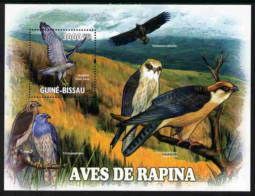 Guinea - Bissau 2011 Raptors perf s/sheet unmounted mint Michel BL902, stamps on , stamps on  stamps on birds, stamps on  stamps on birds of prey, stamps on  stamps on falcons, stamps on  stamps on 