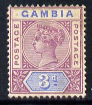 Gambia 1898-1902 QV Key Plate 3d purple & Blue Crown CA mounted mint, SG 41, stamps on , stamps on  qv , stamps on 