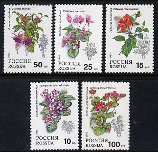 Russia 1993 Pot Plants set of 5 unmounted mint, SG 6398-402, Mi 296-300, stamps on flowers, stamps on fuchsias