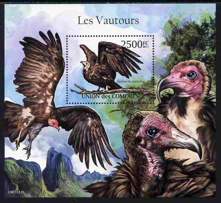 Comoro Islands 2011 Vultures perf m/sheet unmounted mint, stamps on birds, stamps on vultures