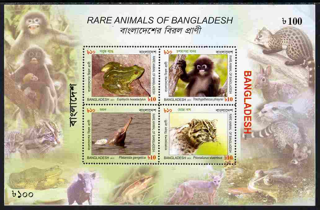 Bangladesh 2011 Rare Animals perf m/sheet unmounted mint , stamps on animals, stamps on apes, stamps on frogs, stamps on dolphins, stamps on cats, stamps on 