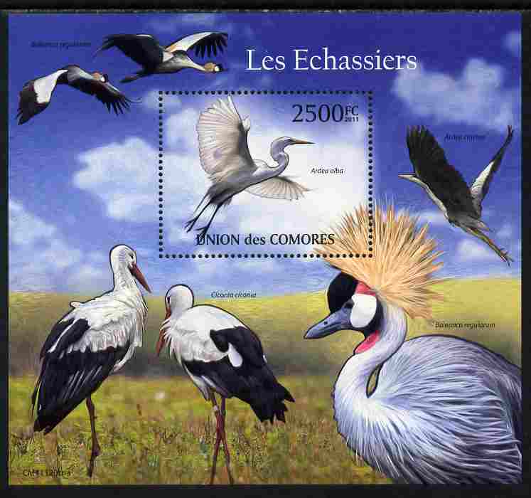 Comoro Islands 2011 Wading Birds perf s/sheet unmounted mint , stamps on birds, stamps on herons, stamps on cranes, stamps on storks, stamps on egrets