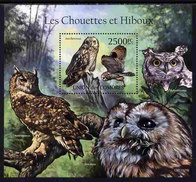 Comoro Islands 2011 Owls #1 perf s/sheet unmounted mint , stamps on birds, stamps on birds of prey, stamps on owls