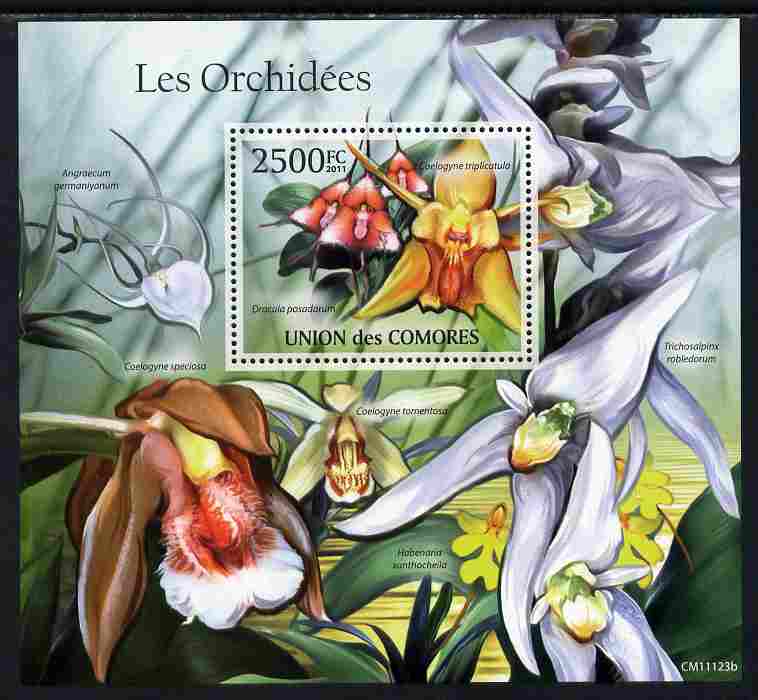 Comoro Islands 2011 Orchids perf s/sheet unmounted mint , stamps on flowers, stamps on orchids