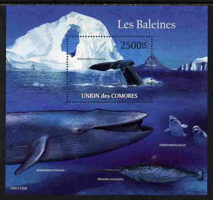 Comoro Islands 2011 Whales perf s/sheet unmounted mint , stamps on marine life, stamps on whales