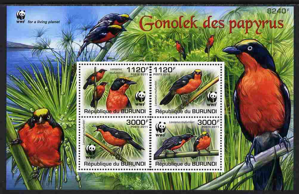 Burundi 2011 WWF - Papyrus Gonolek perf sheetlet containing 4 values unmounted mint , stamps on , stamps on  stamps on birds, stamps on  stamps on  wwf , stamps on  stamps on 