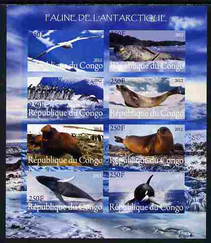 Congo 2012 Antarctic Fauna imperf sheetlet containing 8 values unmounted mint , stamps on marine life, stamps on polar, stamps on seals, stamps on whales, stamps on penuins