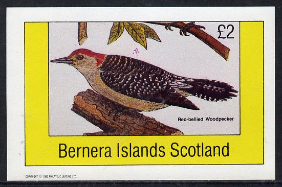 Bernera 1982 Birds #20 (Red Bellied Woodpecker) imperf deluxe sheet (Â£2 value) unmounted mint, stamps on birds    woodpecker