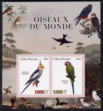 Ivory Coast 2012 Birds of the World #3 imperf sheetlet containing 2 values unmounted mint, stamps on birds, stamps on parrots