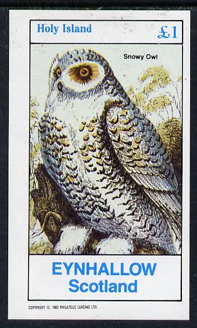 Eynhallow 1982 Snowy Owl imperf souvenir sheet (Â£1 value) unmounted mint, stamps on birds, stamps on birds of prey, stamps on owls