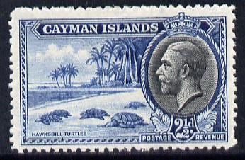Cayman Islands 1935 KG5 Pictorial - Hawksbill Turtles 2.5d blue & black mounted mint, SG 101, stamps on , stamps on  kg5 , stamps on turtles