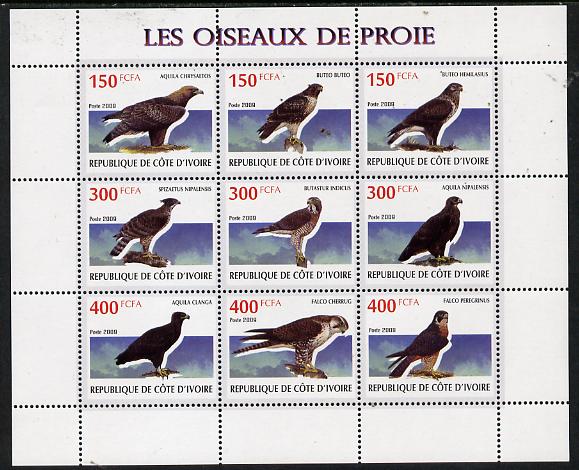 Ivory Coast 2009 Birds of Prey perf sheetlet containing 9 values unmounted mint, stamps on birds, stamps on birds of prey