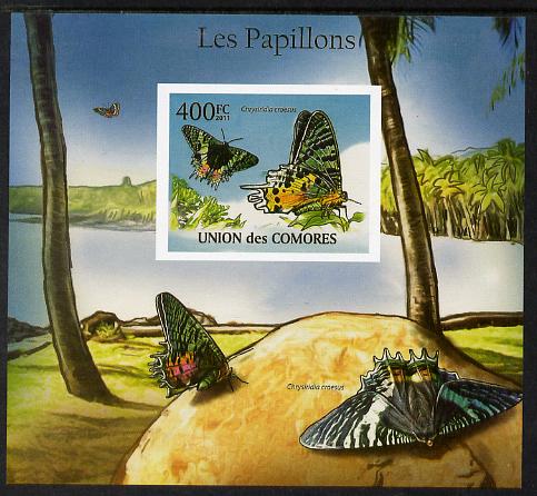 Comoro Islands 2011 Butterflies #7 imperf m/sheet unmounted mint. Note this item is privately produced and is offered purely on its thematic appeal, it has no postal vali..., stamps on butterflies