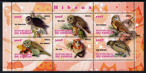 Congo 2013 Owls perf sheetlet containing 6 values unmounted mint, stamps on , stamps on  stamps on birds, stamps on  stamps on birds of prey, stamps on  stamps on owls