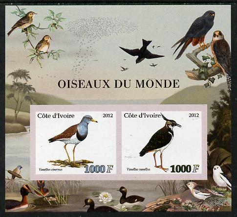 Ivory Coast 2012 Birds of the World #2 imperf sheetlet containing 2 values unmounted mint, stamps on birds, stamps on lapwing