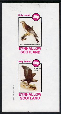 Eynhallow 1982 Birds #12 (Buzzard & Eagle) imperf  set of 2 values (40p & 60p) unmounted mint, stamps on birds, stamps on birds of prey