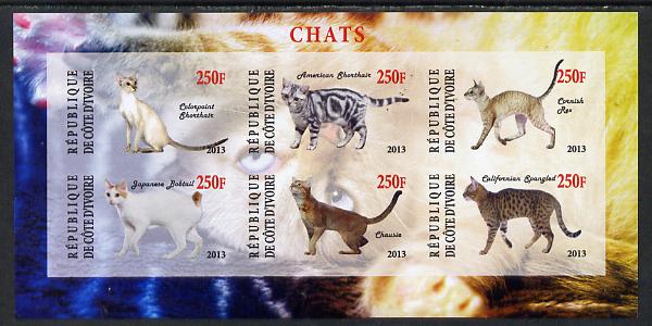 Ivory Coast 2013 Domestic Cats #3 imperf sheetlet containing 6 values unmounted mint, stamps on cats