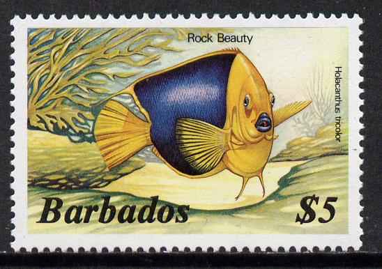Barbados 1986 Rock Beauty $5 (from Marine Life def set) without imprint date, SG 808A, stamps on fish     marine-life