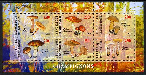 Ivory Coast 2013 Fungi #3 perf sheetlet containing 6 values unmounted mint, stamps on fungi