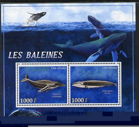 Ivory Coast 2013 Whales perf sheetlet containing 2 values unmounted mint, stamps on whales, stamps on dolphins, stamps on marine life