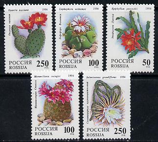 Russia 1994 Cacti set of 5 unmounted mint, SG 6461-65, Mi 363-67, stamps on flowers, stamps on cacti