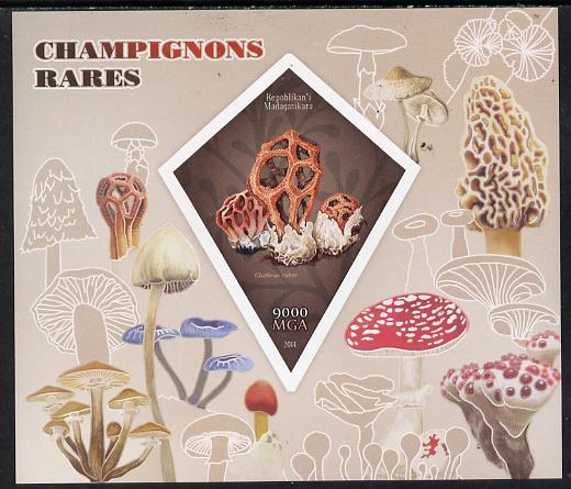 Madagascar 2014 Rare Mushrooms imperf deluxe sheet containing one diamond shaped value unmounted mint, stamps on fungi, stamps on shaped, stamps on diamond