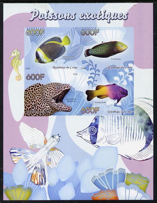 Congo 2014 Fish imperf sheetlet containing 4 values unmounted mint, stamps on , stamps on  stamps on , stamps on  stamps on fish