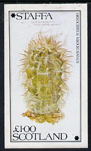 Staffa 1979 Cacti (Oreocereus Neocelsianus) imperf souvenir sheet (Â£1 value) unmounted mint, stamps on flowers    cacti