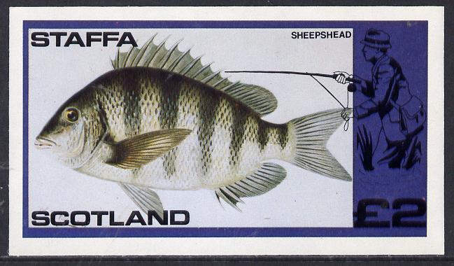 Staffa 1979 Fish #04 (Sheepshead) imperf  deluxe sheet (Â£2 value) unmounted mint, stamps on fish     marine-life