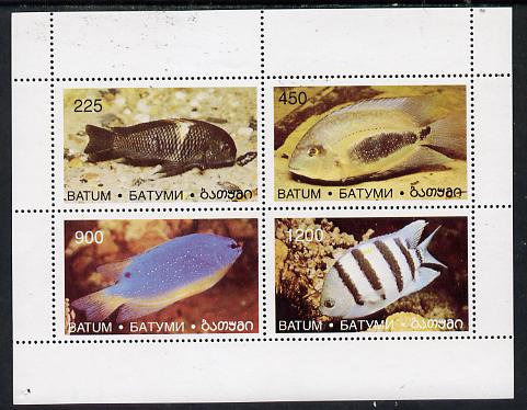 Batum 1996 Fish perf set of 4 values unmounted mint, stamps on fish     marine-life