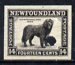 Newfoundland 1941-44 KG6 Newfoundland Dog 14c black imperf PROOF with Waterlow security punch hole, some wrinkles but a scarce KG6 item (as SG 284), stamps on dogs, stamps on  kg6 , stamps on newfoundland