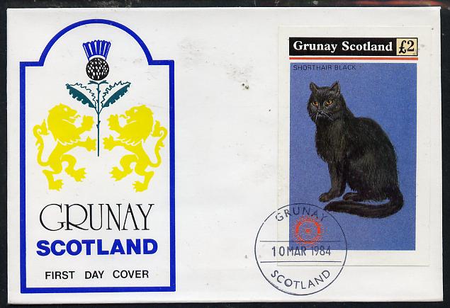 Grunay 1984 Rotary - Domestic Cats imperf deluxe sheet (\A32 value) on cover with first day cancel, stamps on cats  rotary