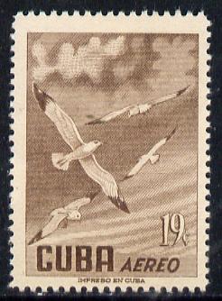 Cuba 1956 Gull 19c (from Air set) unmounted mint SG 775, stamps on birds    
