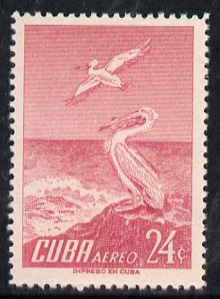 Cuba 1956 Pelican 24c (from Air set) unmounted mint SG 776, stamps on birds