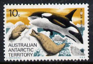 Australian Antarctic Territory 1973 Killer Whale 10c from the Pictorial Def set, SG 28  (blocks or gutter pairs pro-rata) unmounted mint, stamps on polar   animals  marine-life  whales