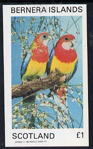 Bernera 1982 Parrots imperf souvenir sheet (Â£1 value) unmounted mint, stamps on birds   parrots