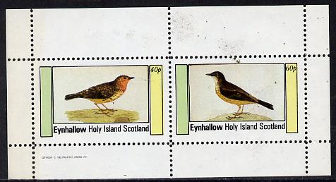 Eynhallow 1982 Thrushes perf  set of 2 values (40p & 60p) unmounted mint, stamps on birds