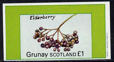 Grunay 1982 Fruits (Elderberry) imperf souvenir sheet (Â£1 value) unmounted mint, stamps on fruits