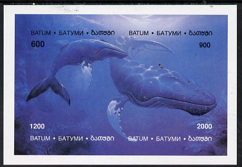 Batum 1994 Whales imperf composite sheetlet containing complete set of 4 values unmounted mint, stamps on animals    marine-life      whales