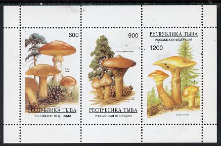 Touva 1997 Mushrooms perf sheetlet containing complete set of 3 values unmounted mint, stamps on , stamps on  stamps on fungi