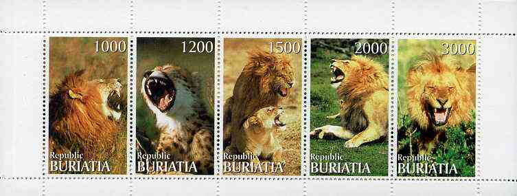Buriatia Republic 1996 Big Cats perf set of 5 values unmounted mint, stamps on cats   animals