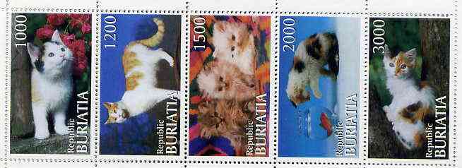 Buriatia Republic 1996 Domestic Cats perf set of 5 values unmounted mint, stamps on cats   animals