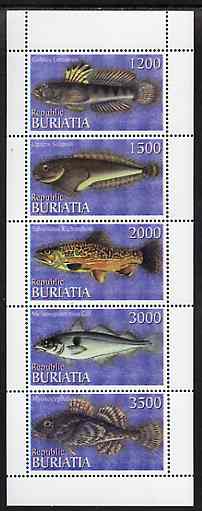 Buriatia Republic 1996 Fish perf set of 5 values unmounted mint, stamps on , stamps on  stamps on fish     marine-life