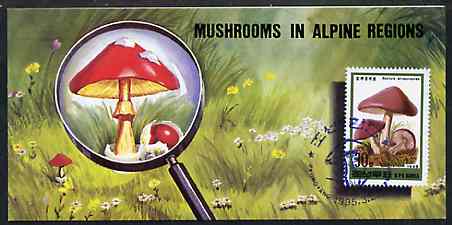 North Korea 1995 Fungi in Alpine Regions 3 won booklet containing pane of 10 x 30 jons, stamps on fungi