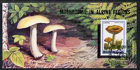 North Korea 1995 Fungi in Alpine Regions 4 won booklet containing pane of 10 x 40 jons, stamps on fungi
