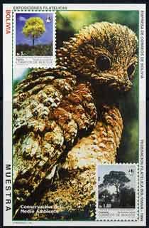 Bolivia 1994 Environmental  Protection (Bird & Trees) imperf m/sheet optd MUESTRA unmounted mint, stamps on environment, stamps on birds, stamps on trees
