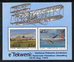 South Africa 1993 Aviation Philatelic Foundation m/sheet unmounted mint, stamps on aviation, stamps on boeing, stamps on  707 , stamps on 